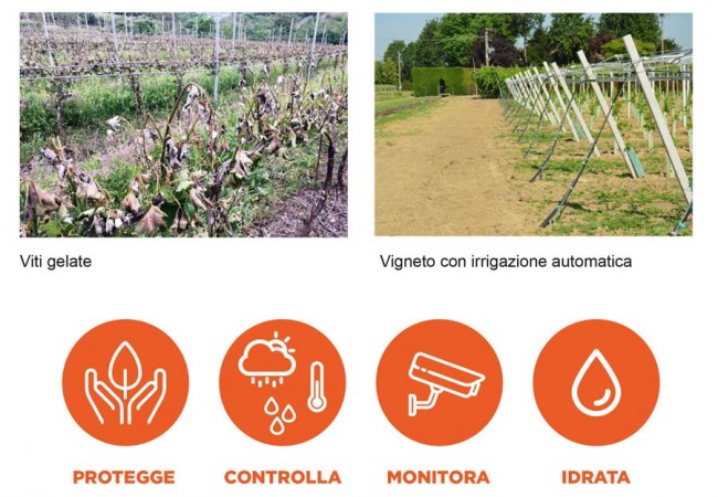 Antigelate per l'agricoltura