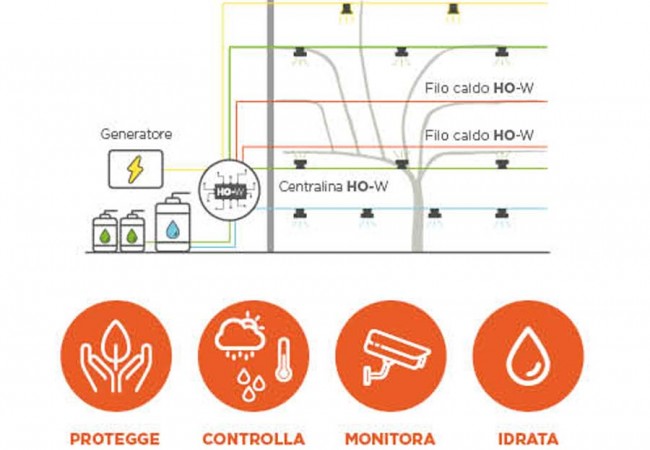 Vigneto Connesso HO-W 4.0
