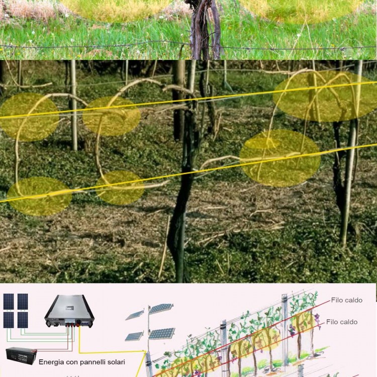 Cavo anti gelate per l'agricoltura