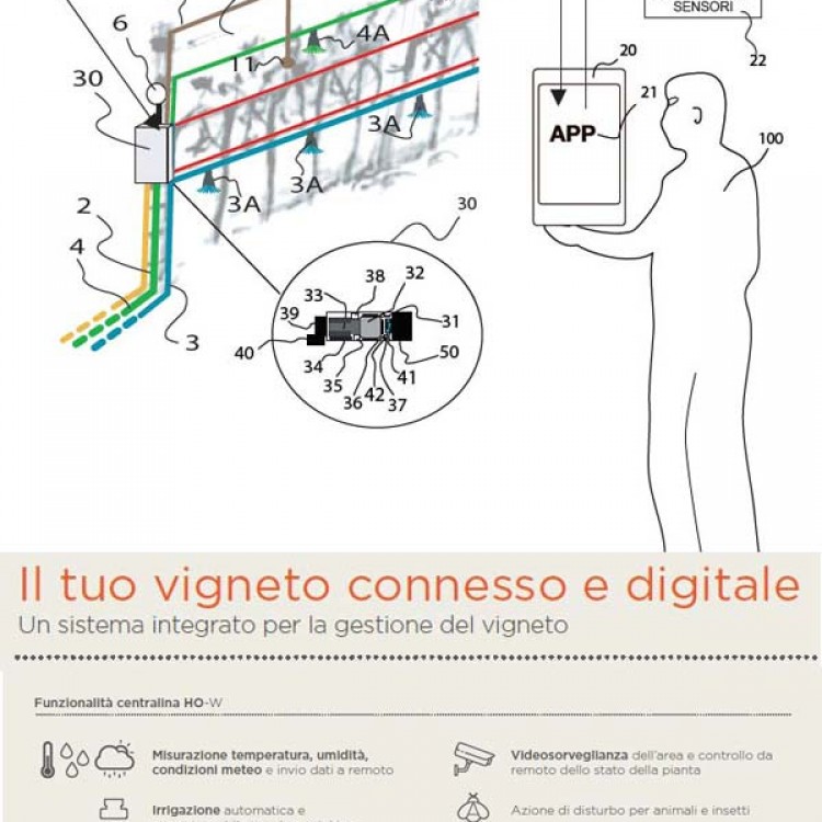 Vigneto Connesso per la gestione automatica dei vigneti