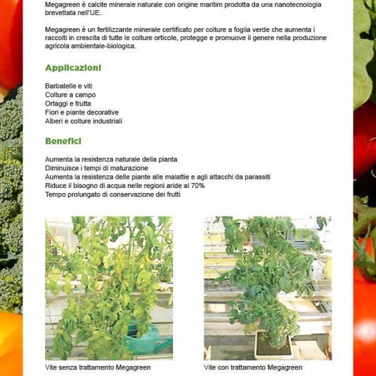 Zeolite ZeoQual Trattamento fogliare  bio 100%