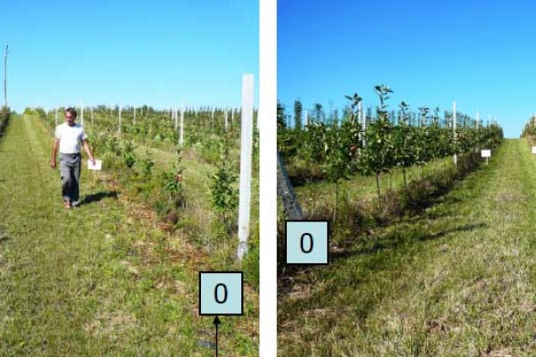 Differenze di produttività