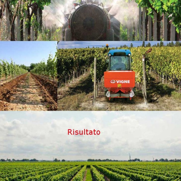 Bonificare terreni vigneti e frutteti da pesticidi con la Zeolite personalizzata e attivata portano in 6 anni ad un risultato sorprendente