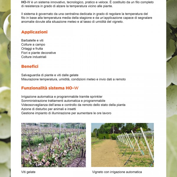 scheda presentazione filo caldo