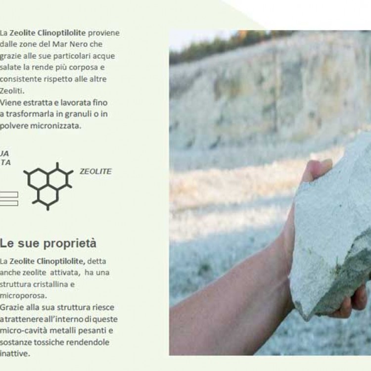 Concime ZEOLITE ZeoQual (bio 100%)  